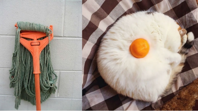 What's it like wire? 22 check for an active imagination