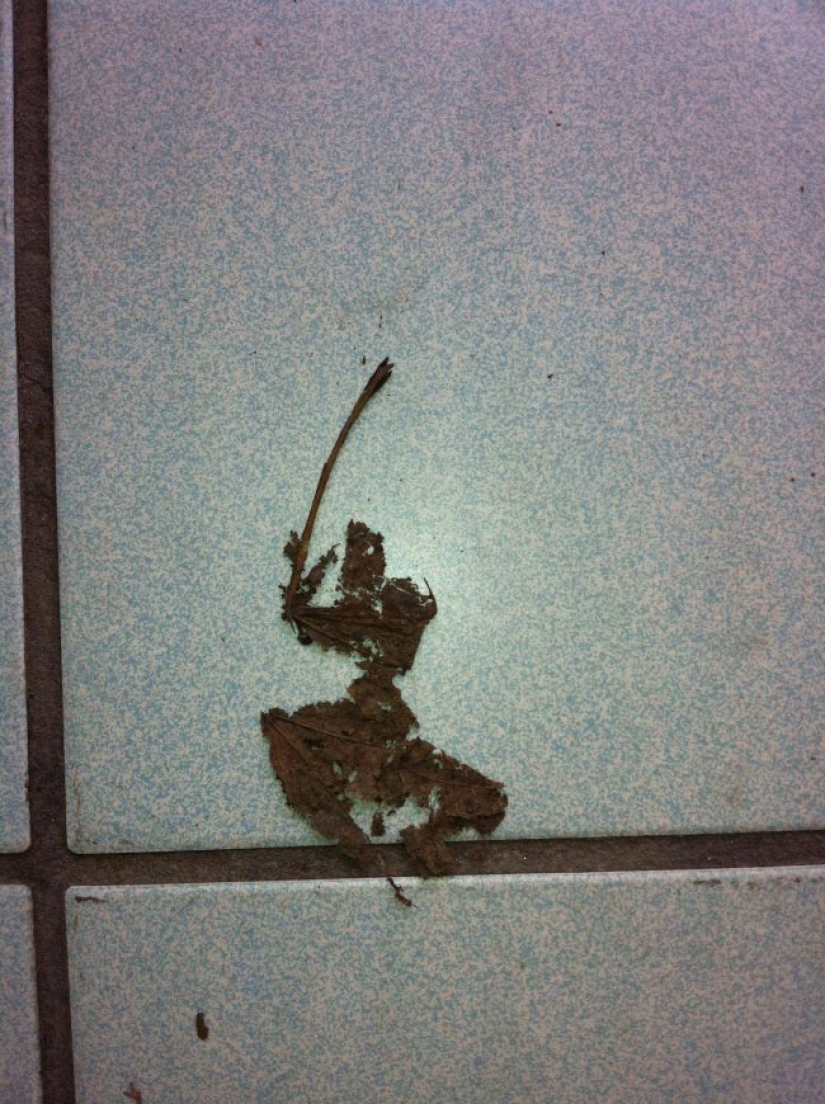 What's it like wire? 22 check for an active imagination