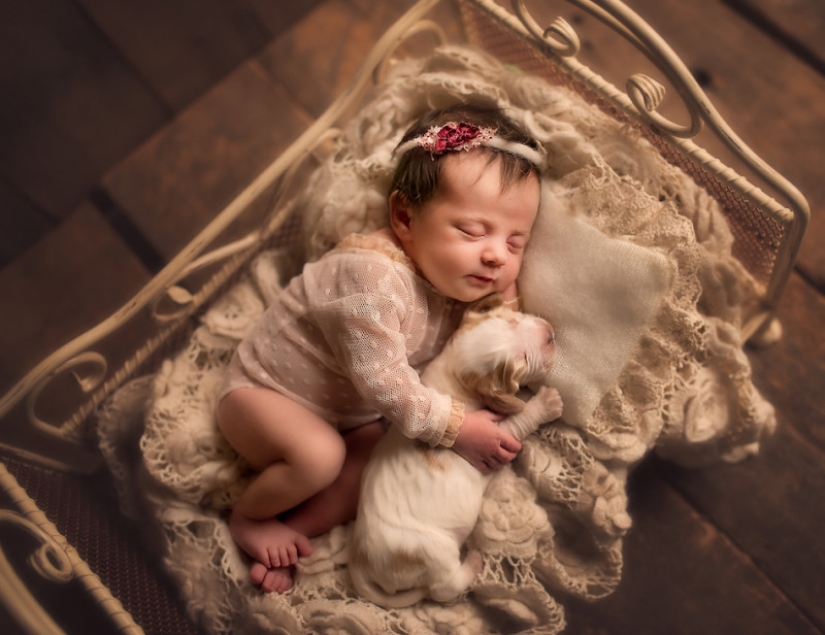 When you're cute as hell: hugs babies and Pets in the project of the photographer from London