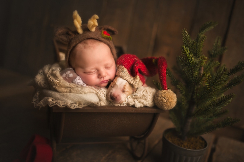 When you're cute as hell: hugs babies and Pets in the project of the photographer from London