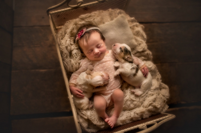 When you're cute as hell: hugs babies and Pets in the project of the photographer from London