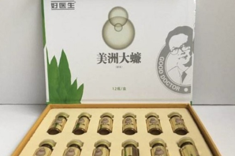 Why do they breed six billion cockroaches a year on a giant farm in China