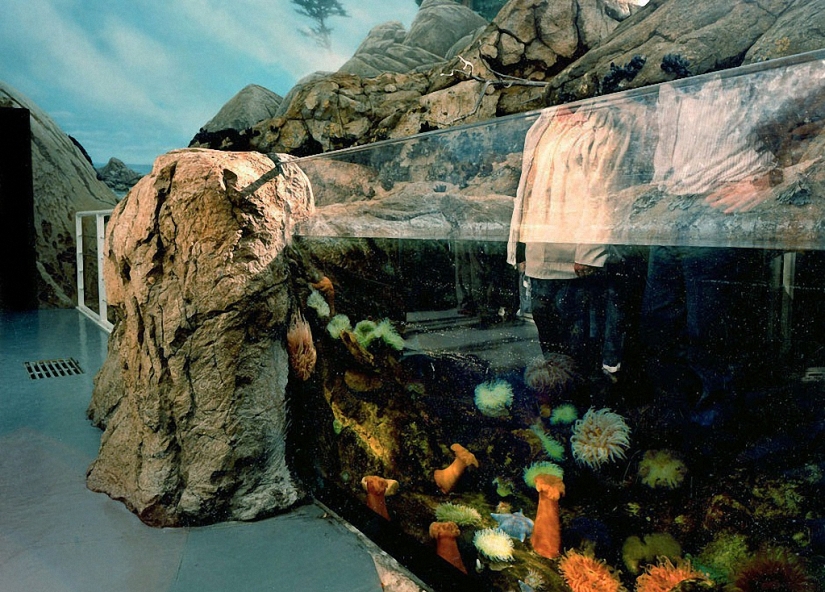 Wildlife behind glass