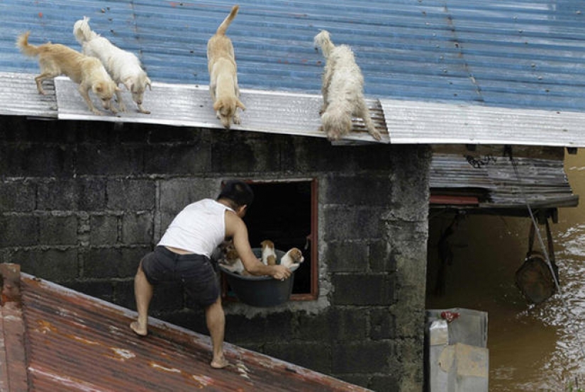 Without further ado: a post about those who do good