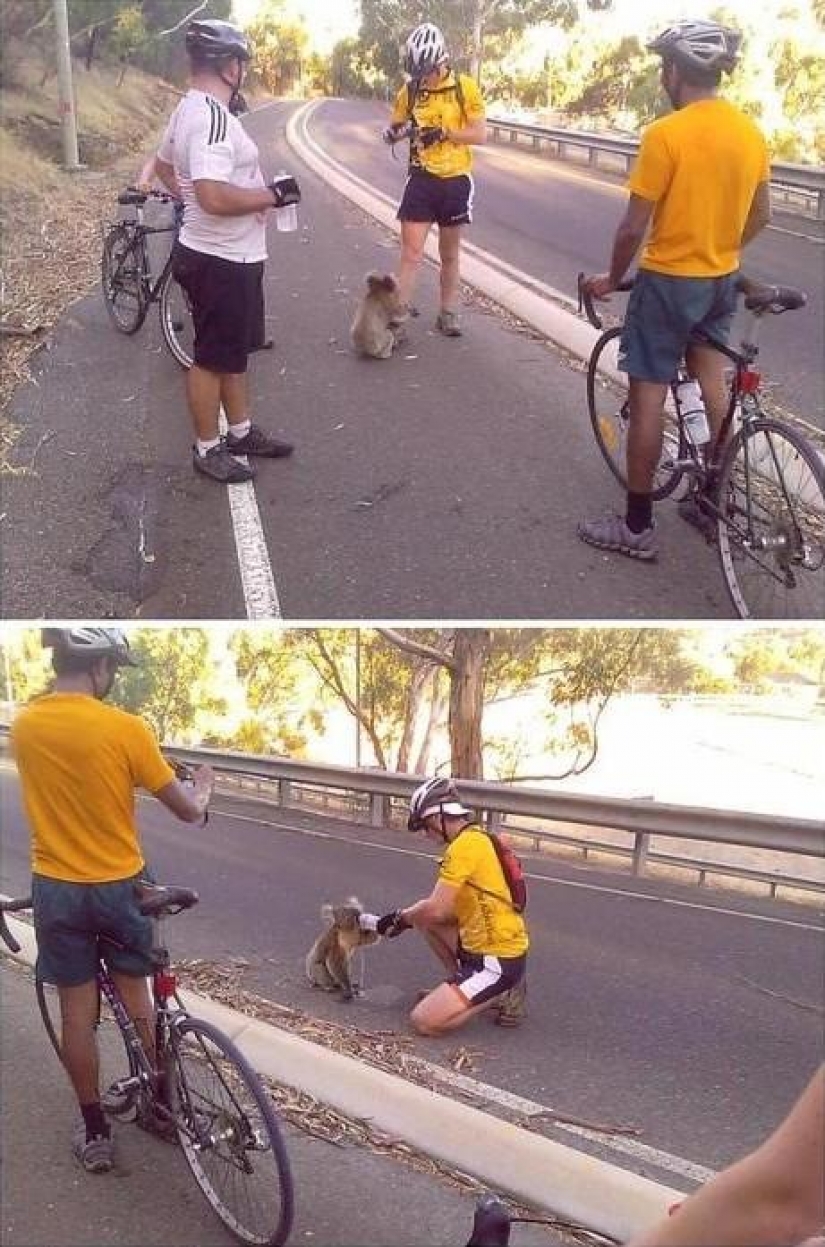 Without further ado: a post about those who do good