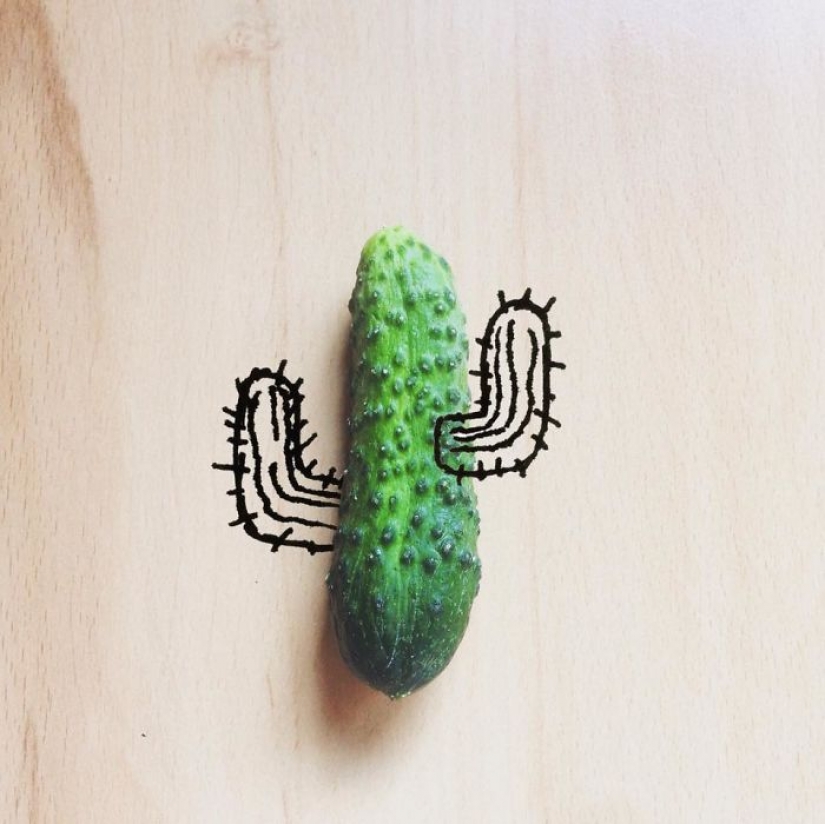 Witty illustrations from everyday objects