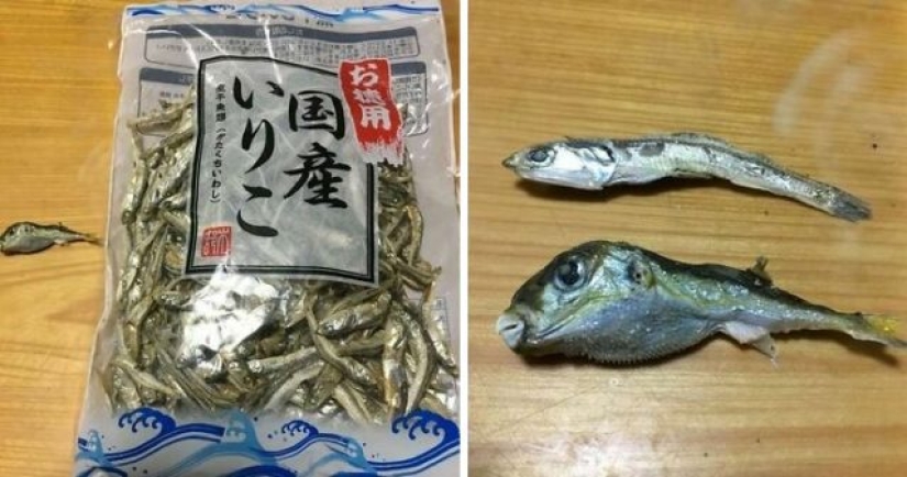 Worst meals anyone dared to serve Worst meals anyone dared to serve