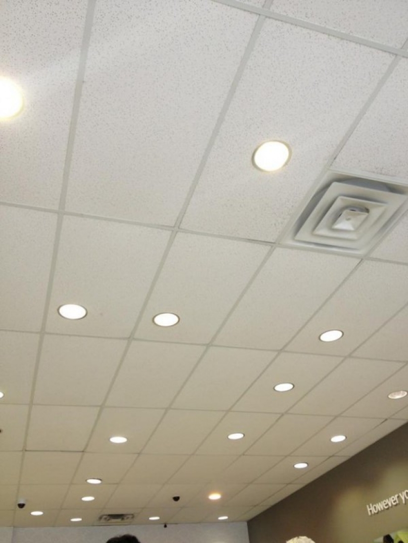 Y así bajará: fotos que molestarán no solo a los perfeccionistas