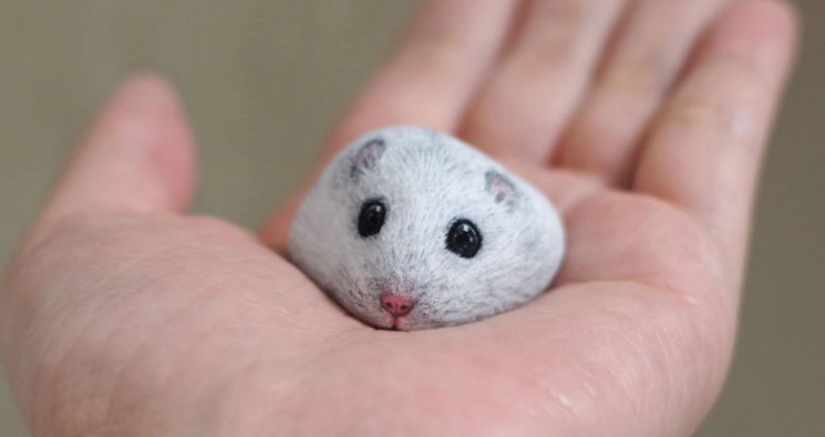 Yo no soy un gato, no me trazo: el artista revela la naturaleza única de las piedras