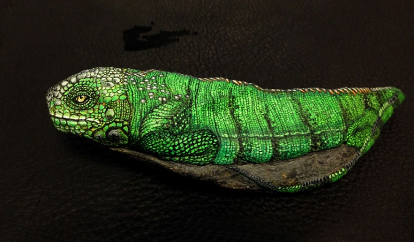 Yo no soy un gato, no me trazo: el artista revela la naturaleza única de las piedras