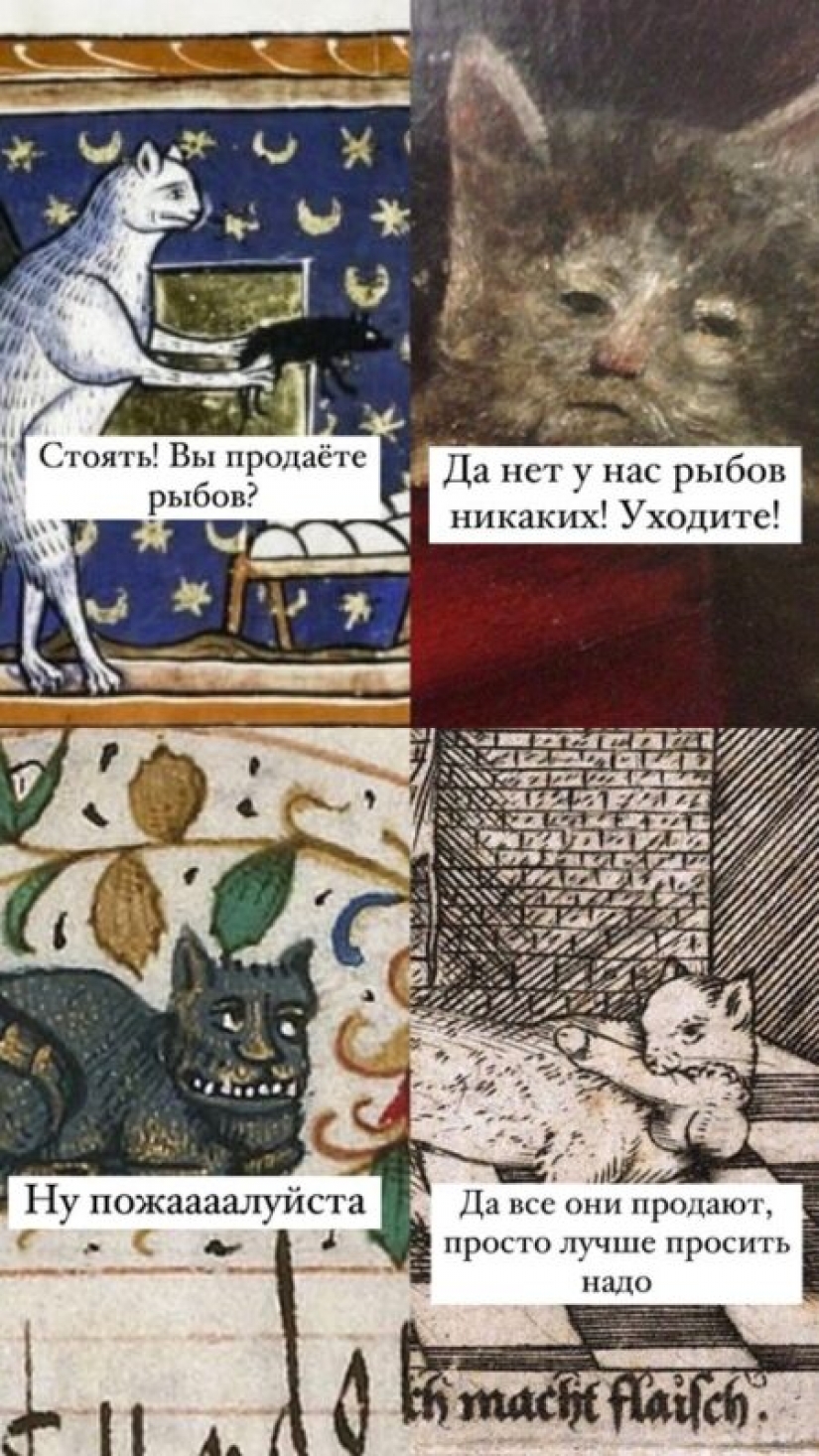 "You will sell fish": the story of the sweetest meme of this summer