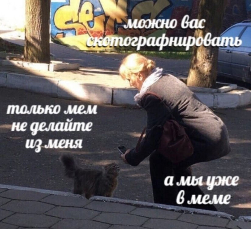 "You will sell fish": the story of the sweetest meme of this summer