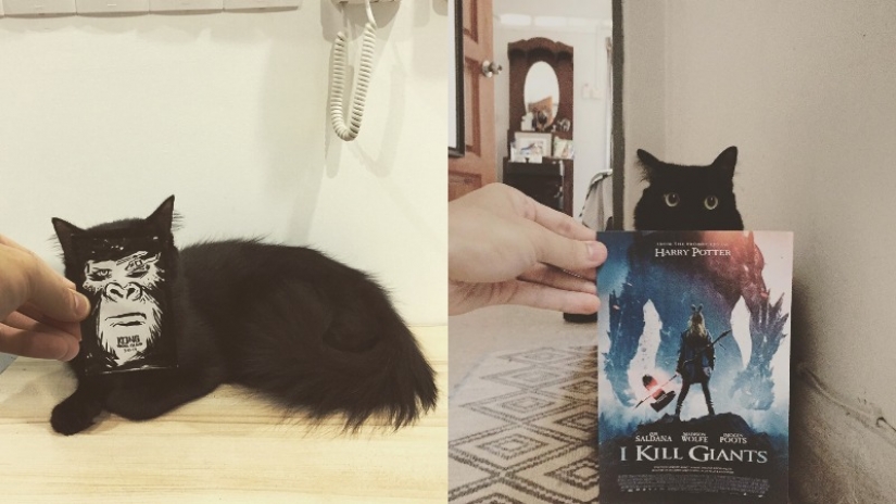 "Zamurchatelnoe cinema!": los carteles para películas se vuelven mejores si les añades gatos "Zamurchatelnoe cinema!": los carteles para películas se vuelven mejores si les añades gatos