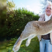 10 abnormally large animals