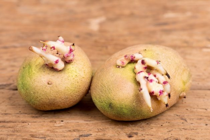 10 alimentos saludables que pueden hacerte daño si no los comes mal 10 alimentos saludables que pueden hacerte daño si no los comes mal