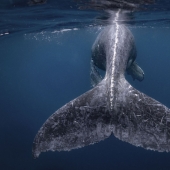 10 amazing photos of the winners of the National Geographic Travel Photographer 2018 contest