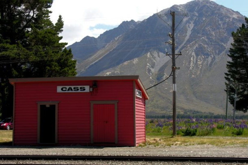 10 cosas más pequeñas 10 cosas más pequeñas