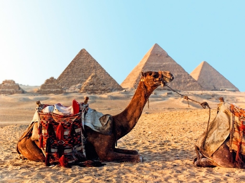 10 cosas que hacer mientras viajas por África