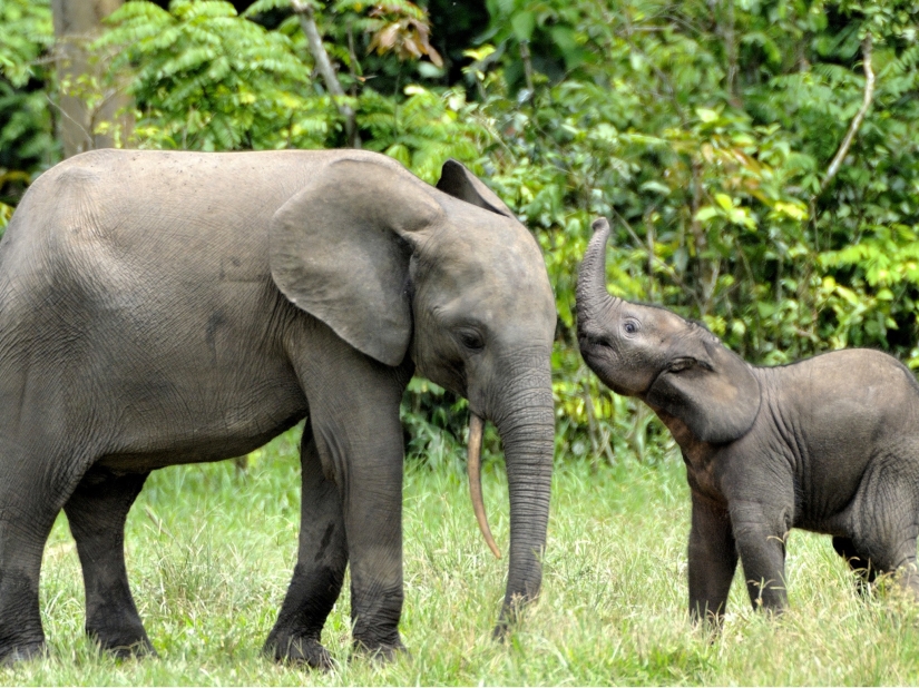 10 cosas que hacer mientras viajas por África
