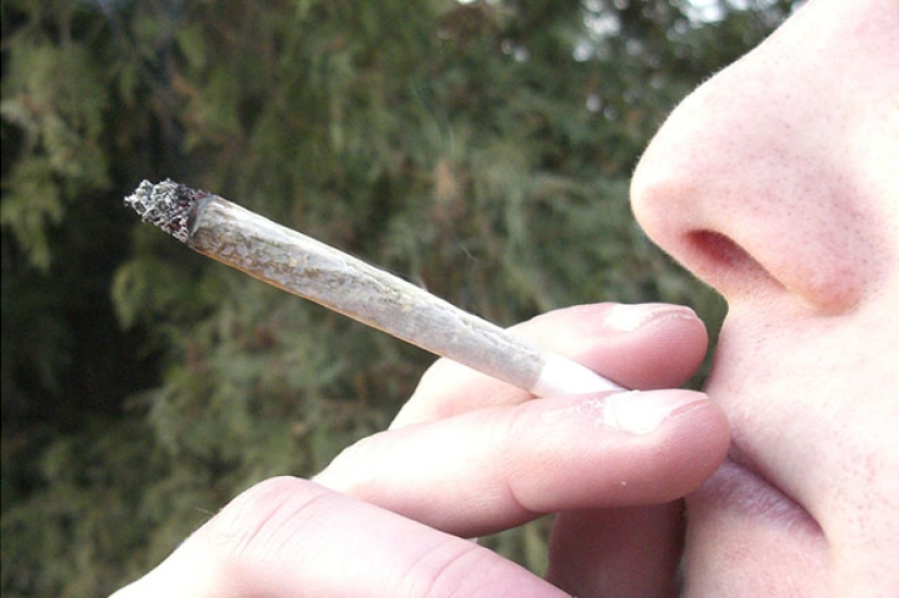 10 datos extraños de Harry Potter sobre la película y el elenco 10 datos extraños de Harry Potter sobre la película y el elenco