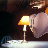 10 datos interesantes sobre los erizos