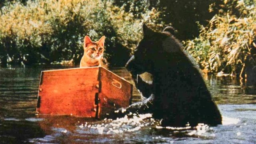 10 deaths on film sets