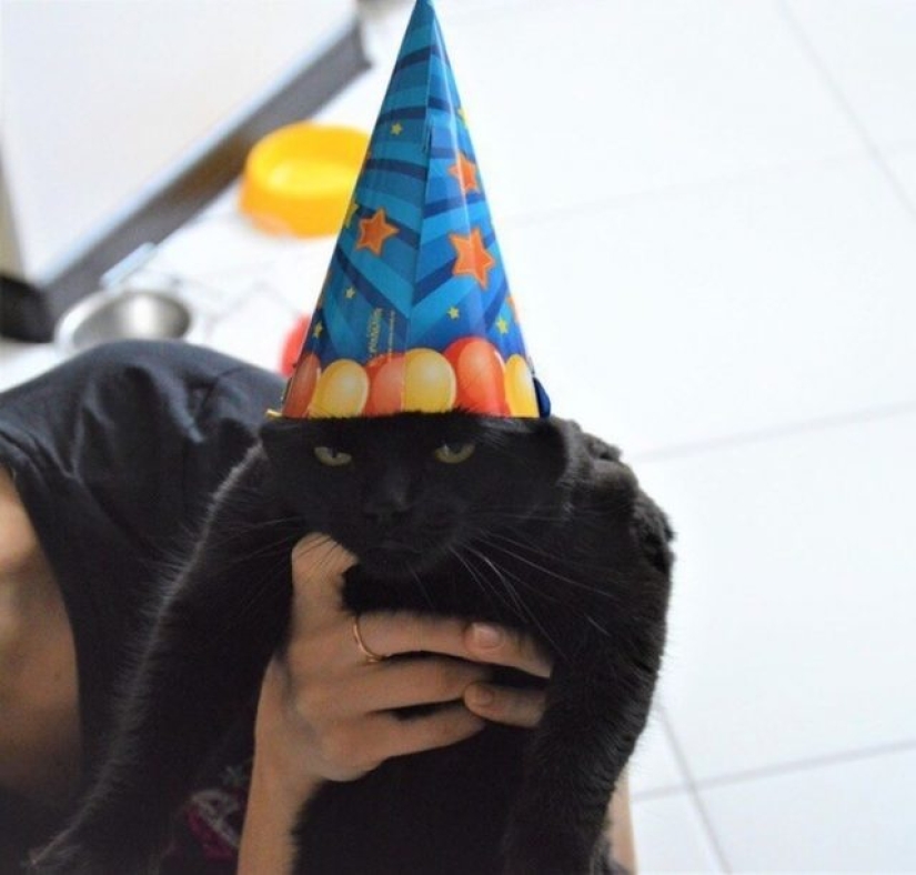 10 Dramatic Animals That Could Outshine Jim Carrey 10 Dramatic Animals That Could Outshine Jim Carrey