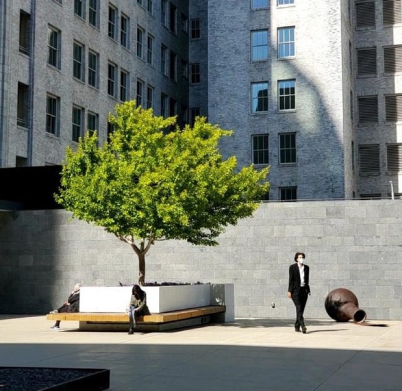 10 eventos diarios que han sido inmortalizados de una manera única 10 eventos diarios que han sido inmortalizados de una manera única