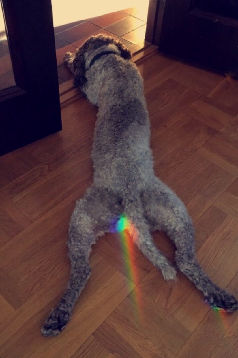 10 eventos diarios que han sido inmortalizados de una manera única 10 eventos diarios que han sido inmortalizados de una manera única