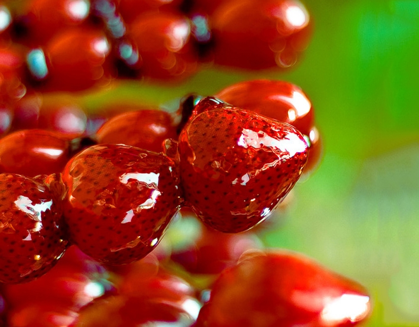 10 facts about sweets