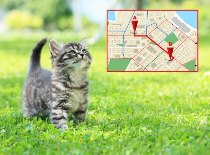 10 facts that testify to the very unexpected aspects of the world 10 facts that testify to the very unexpected aspects of the world