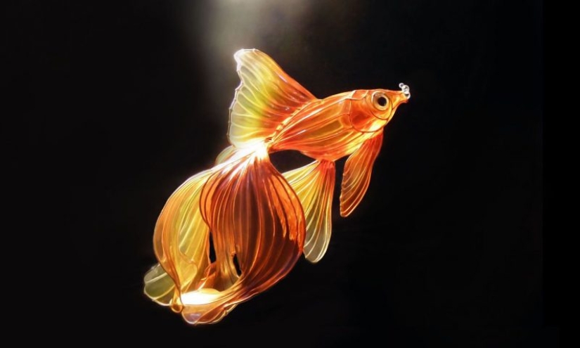 10 False Facts About Animals 10 False Facts About Animals