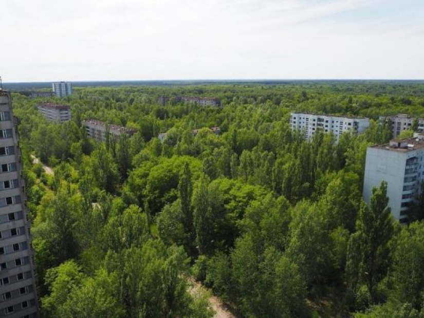 10 fotos de la naturaleza que le ganó la batalla a la civilización en la zona de exclusión alrededor de Chernobyl 10 fotos de la naturaleza que le ganó la batalla a la civilización en la zona de exclusión alrededor de Chernobyl
