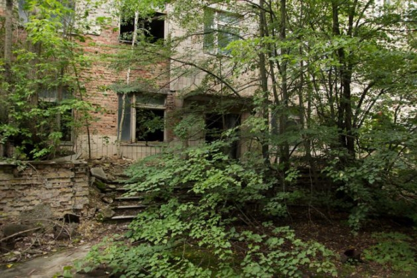 10 fotos de la naturaleza que le ganó la batalla a la civilización en la zona de exclusión alrededor de Chernobyl 10 fotos de la naturaleza que le ganó la batalla a la civilización en la zona de exclusión alrededor de Chernobyl