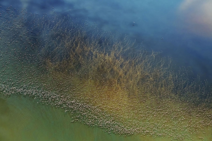 10 fotos increíbles de los ganadores del concurso de Fotógrafos de Viajes de National Geographic 2018 10 fotos increíbles de los ganadores del concurso de Fotógrafos de Viajes de National Geographic 2018