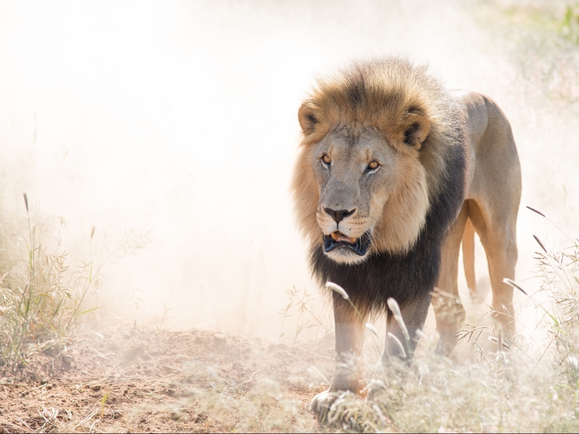 10 fotos que te harán querer visitar Namibia 10 fotos que te harán querer visitar Namibia