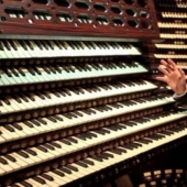 10 hechos sorprendentes sobre las jirafas