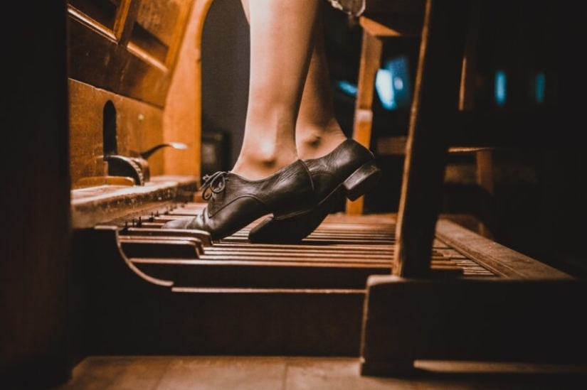 10 hechos sorprendentes sobre las jirafas