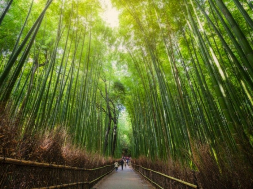 10 impresionantes maravillas naturales que todos deberían ver en su vida