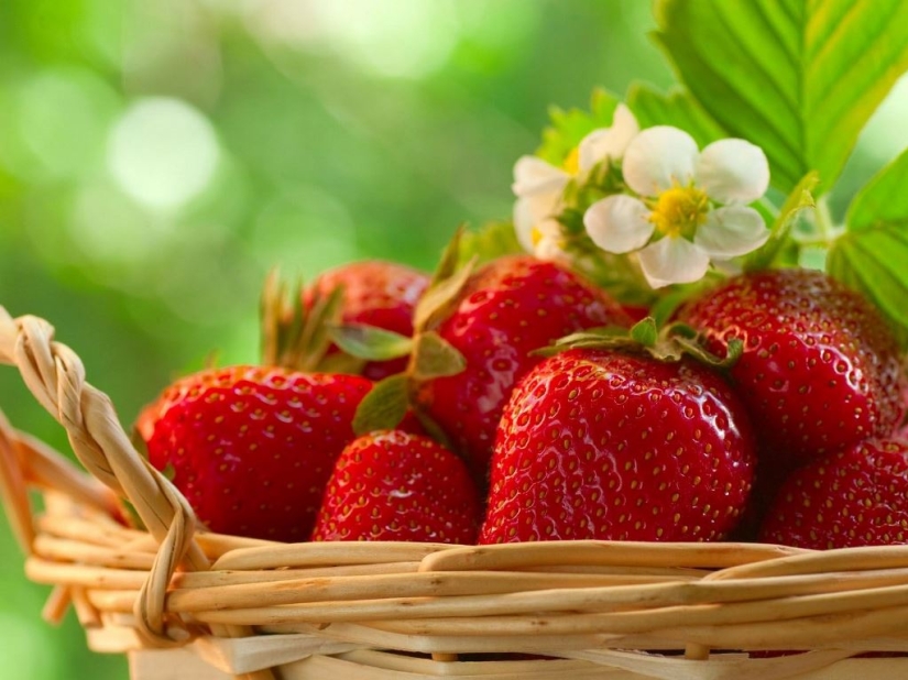 10 increíbles propiedades de las fresas de las que no tenías idea 10 increíbles propiedades de las fresas de las que no tenías idea