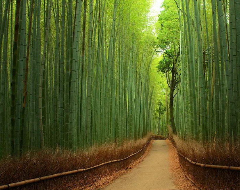 10 Incredible Places That Really Exist