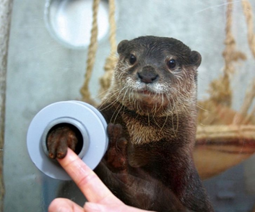 10 inventos de los que Japón puede presumir 10 inventos de los que Japón puede presumir