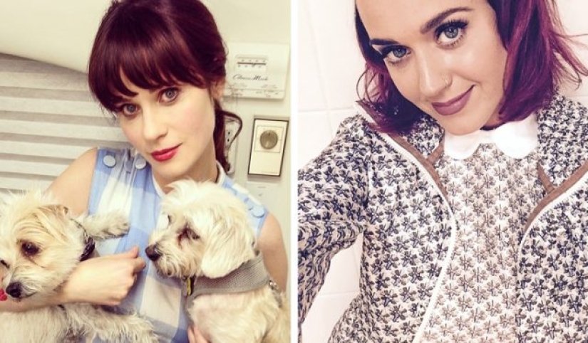 10 parejas de celebridades que son tan parecidas que es sorprendente que no sean de la misma familia 10 parejas de celebridades que son tan parecidas que es sorprendente que no sean de la misma familia