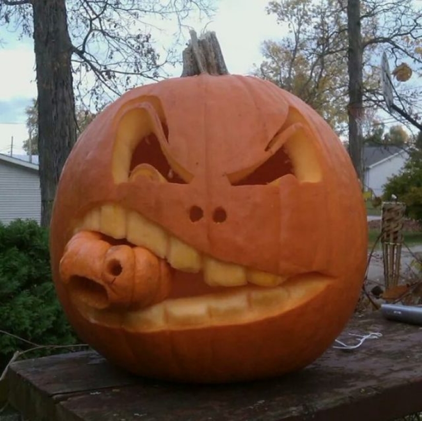 10 people who could have won a gold medal for their pumpkin