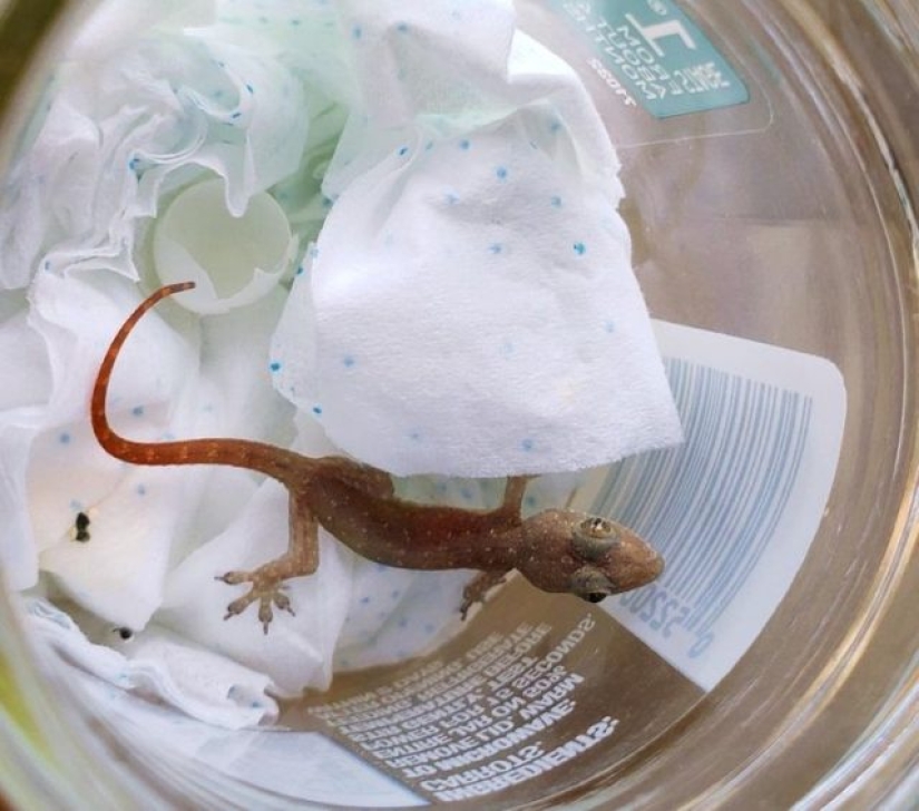 10 personas que mostraron con orgullo cómo la realidad superó sus expectativas