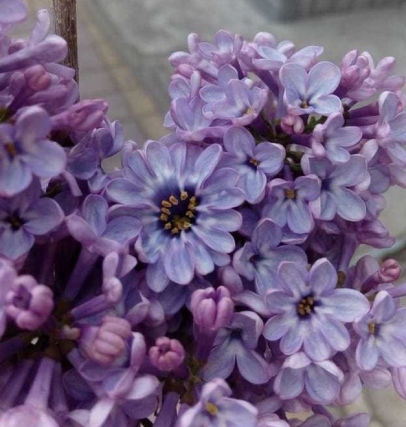 10 personas que mostraron con orgullo cómo la realidad superó sus expectativas