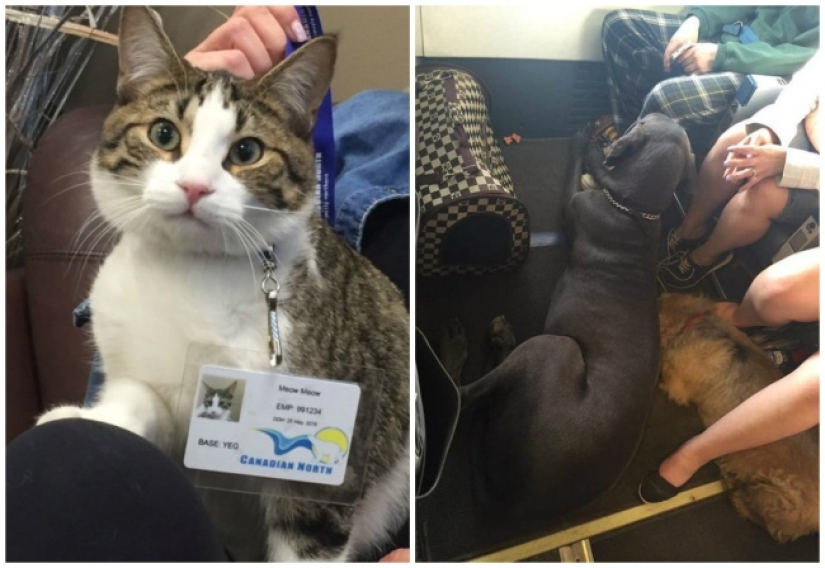 10 photos of this year that prove that humanity has hope