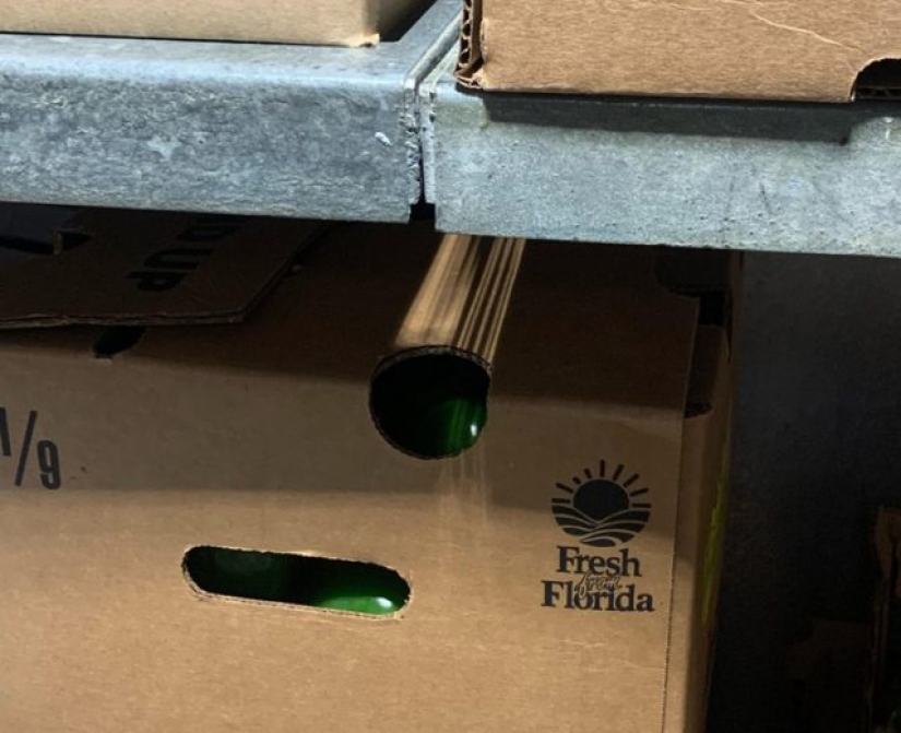 10 photos that played a game with our minds