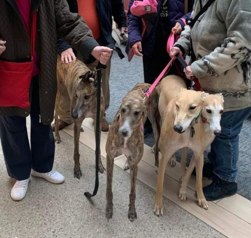 10 photos that played a game with our minds