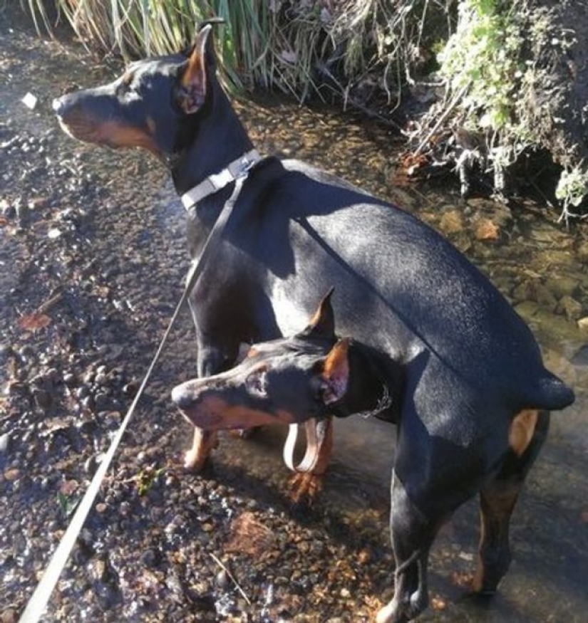 10 photos that played a game with our minds